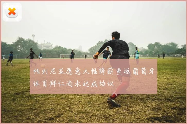 帕利尼亚愿意大幅降薪重返葡萄牙体育拜仁尚未达成协议